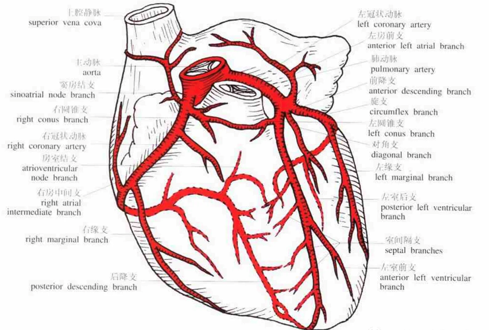 20240513179790.png 微信图片_20240513083948.png